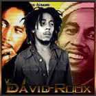 David-Roox