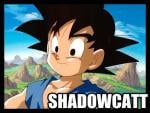SHADOWCATT