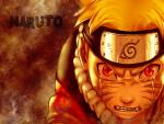 Afonso1212