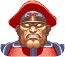 Mr_Bizon