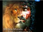 AlexDavid