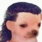 forem0stzr