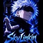 SkyLinkin1