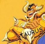 ____TAURUS - foto