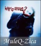 MuleQ-Zica - foto