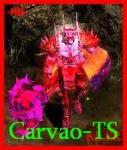 carvao-TS - foto