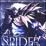 _Spider - foto