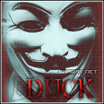 Duck_ - foto
