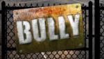 Bully_TS - foto