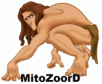 MitoZoorD - foto