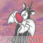 NewHolanda - foto