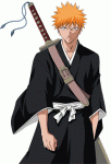 IchIGo___ - foto