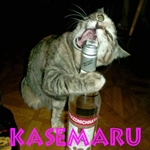Kasemaru - foto