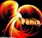 The_Fenix - foto